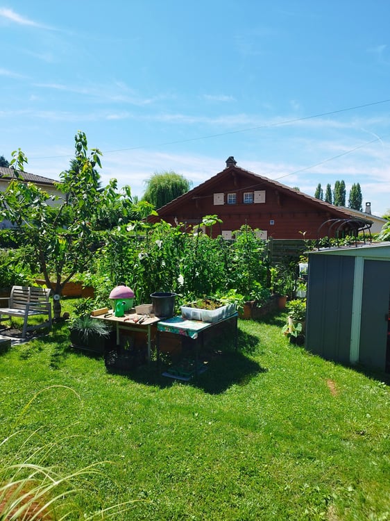 1 Bed 1 Bath Apartment/condo 5