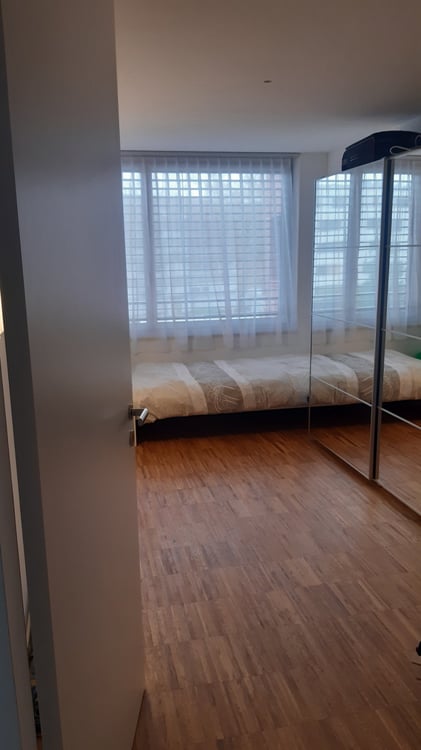 New, furnished,quiet room - 17 Minutes to Zurich HB by train 1