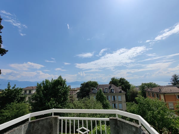 Superbe 1.5p avec vue panoramique 1