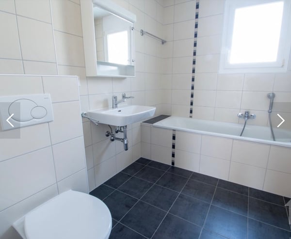 Spacieux 1.5 pièces 3