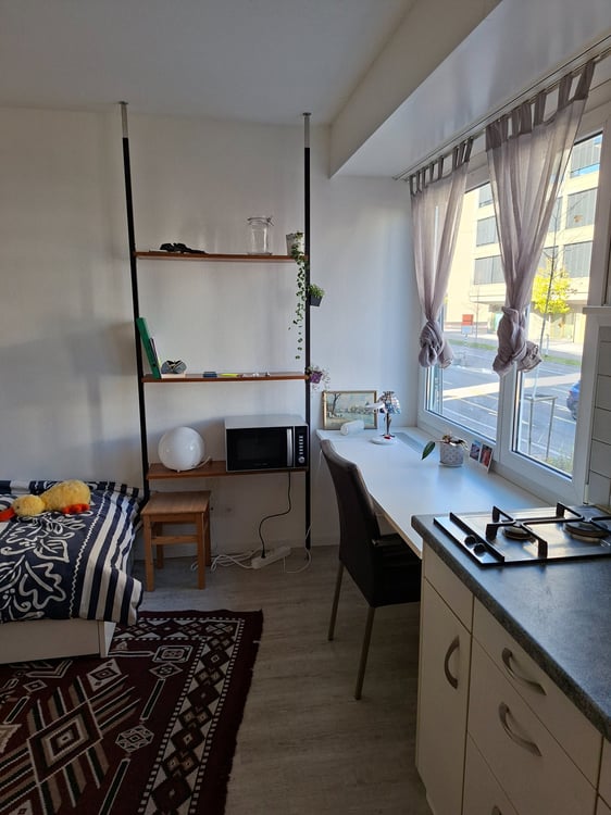 Studio moderne et fonctionnel à Bern 2