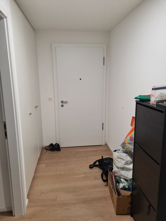 Spacieux et lumineux appartement de 1½ pièces 10