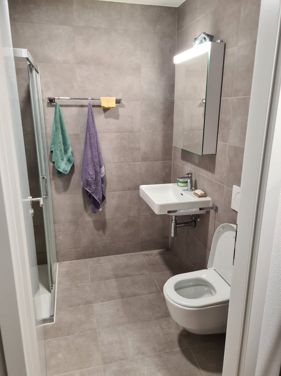 Spacieux et lumineux appartement de 1½ pièces 4