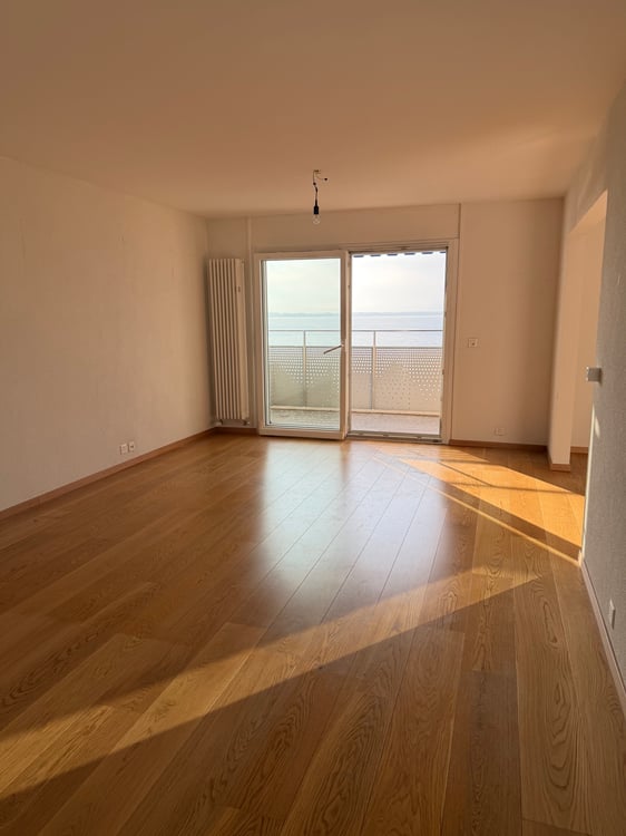 Magnifique appartement de 1.5 pièces avec vue imprenable 3