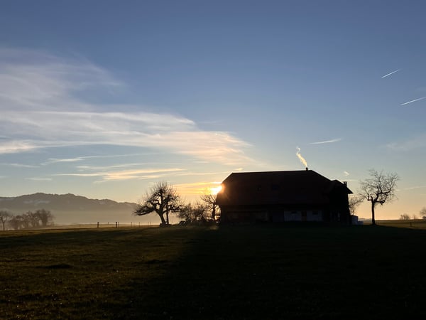 Preview image of the real estate