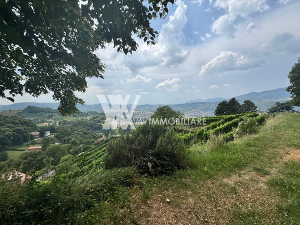 MENDRISIO-SALORINO: SPLENDIDA CANTINA/GROTTINO 3