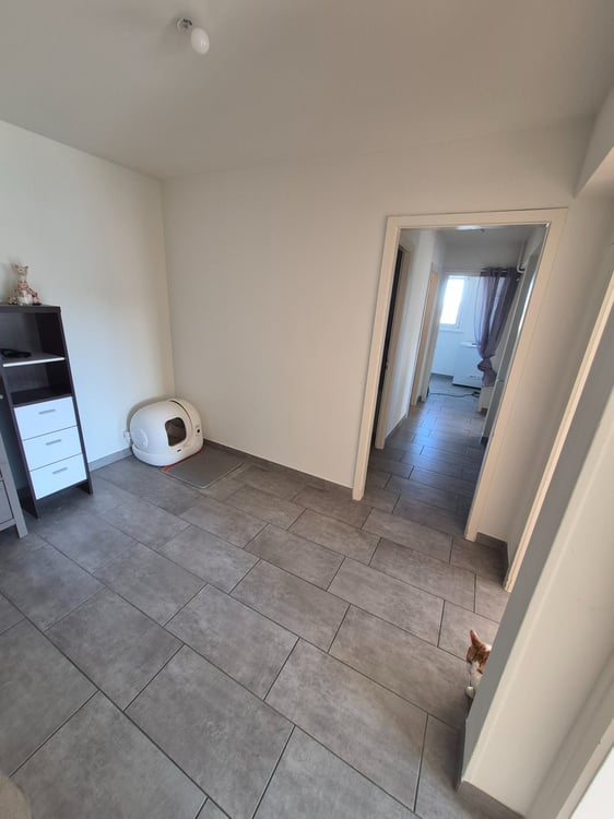 Bel appartement en centre ville 3