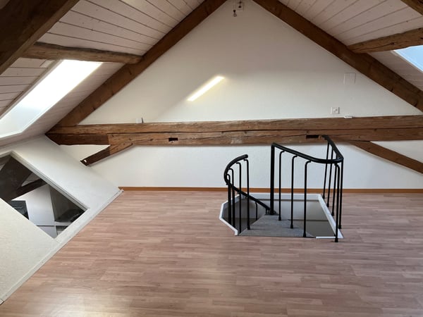 Appartement de 1.5 pièces avec cachet 4