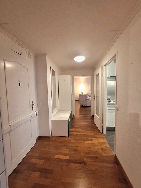 MAGNIFIQUE PENTHOUSE GRAND SACONNEX GENEVE MEUBLÉ 2