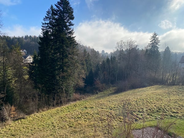 Moderne 1.5 pièces avec une belle vue à Epalinges 5