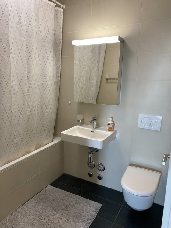 Moderne 1.5 pièces avec une belle vue à Epalinges 4