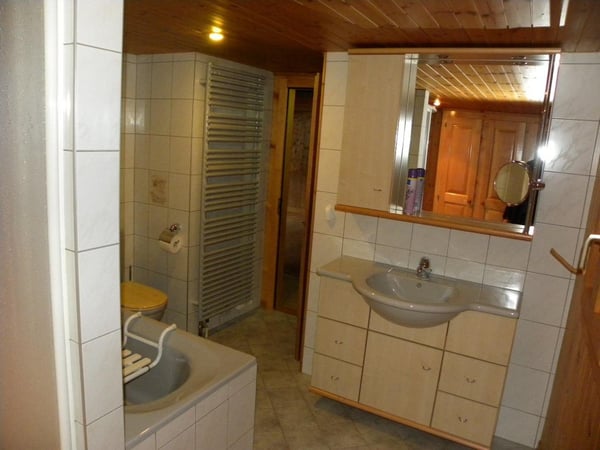 Chalet Plans-sur-Bex 4