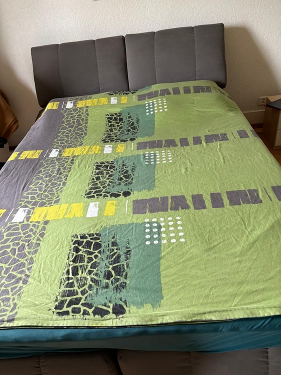 Sallaz sous louée apparemment 1 1/1pour 3 mois 1