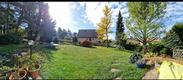 Chambre à louer dans une colocation 3