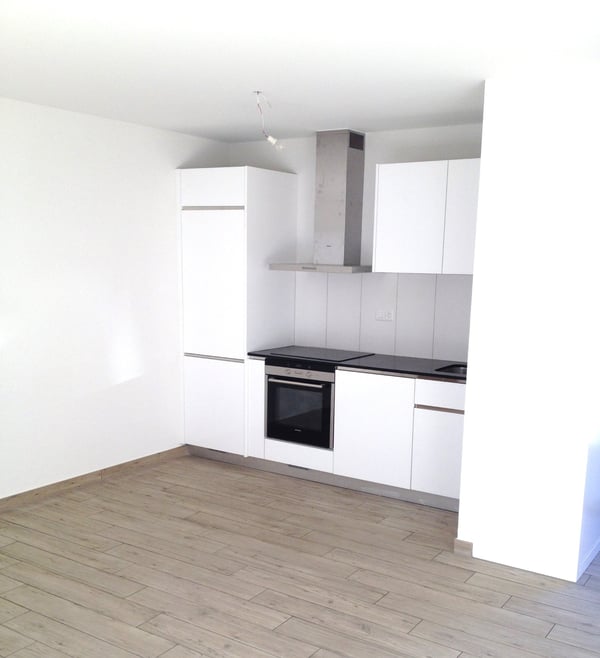 Appartement 1.5 pièces à Saxon 4