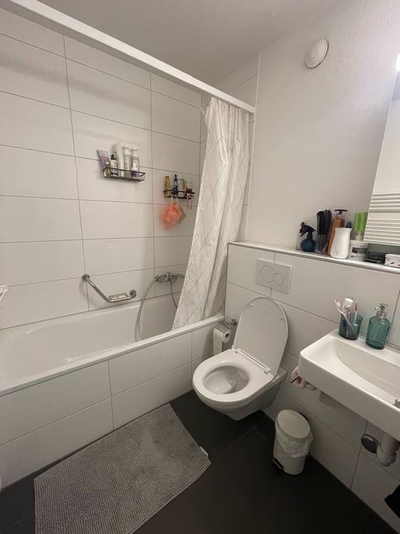 Beautiful 1.5 appartment available in Zurich, Altstetten 3