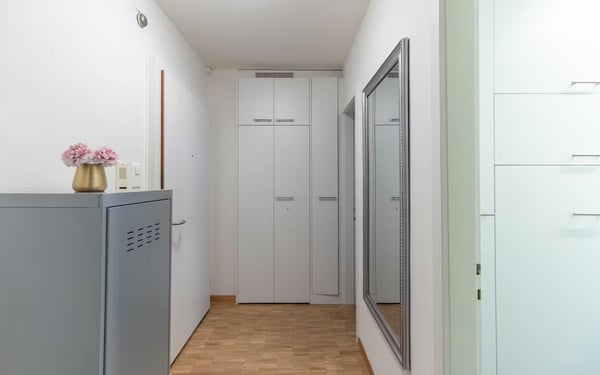 Studio une pièce et démi 3