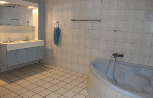 Appartement de 1.5 pièces en duplex avec cachet 3