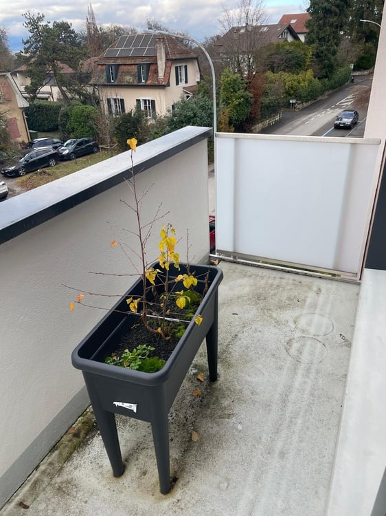 Joli appartement dans un quartier calme 4