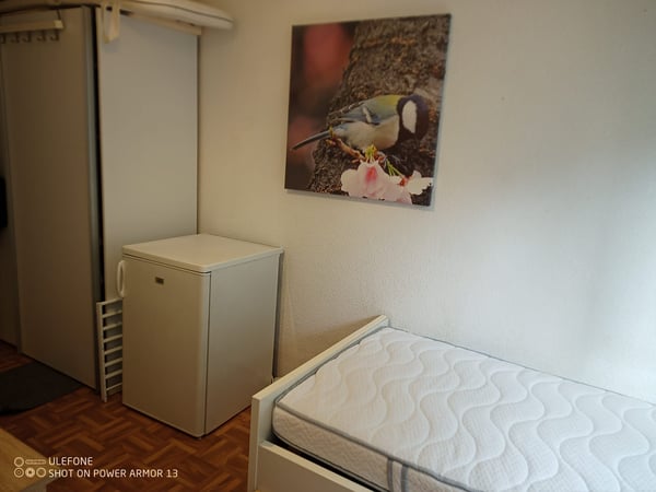 Chambre en Colocation conviviale pour amoureux des animaux 2