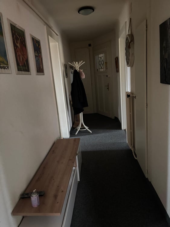 Loue appartement sallaz 1.5 pieces 2