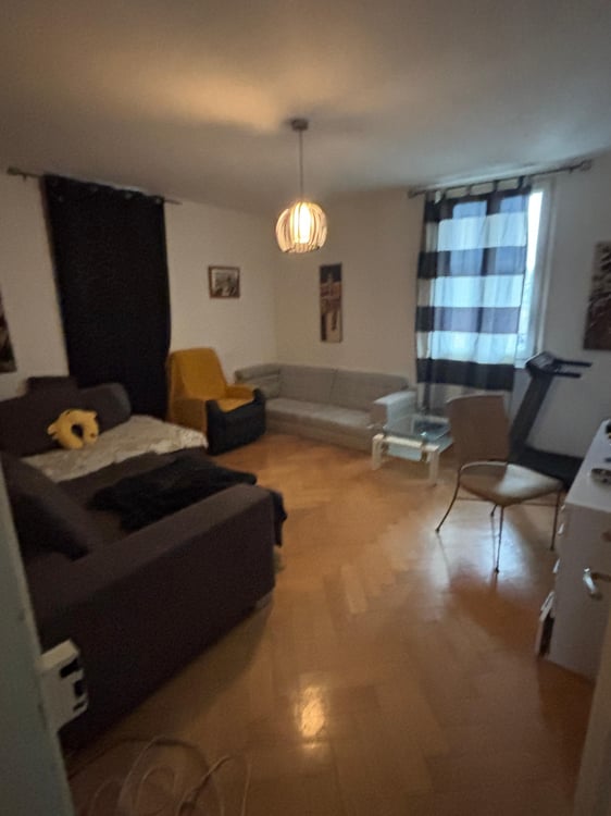 Loue appartement sallaz 1.5 pieces 5