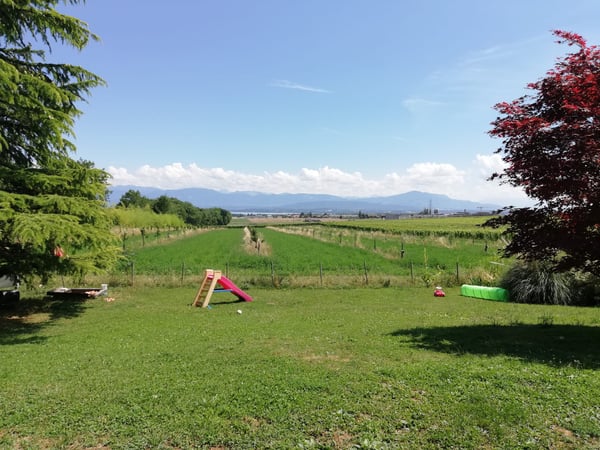 Magnifique villa à louer - Gland 5