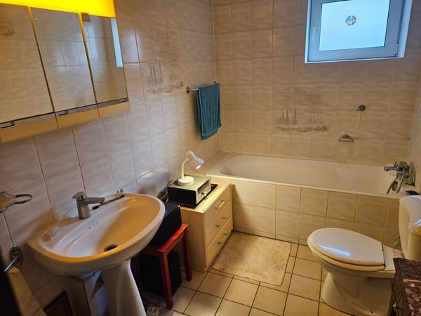 A louer pour 6 mois joli deux pièces à Lavey 3