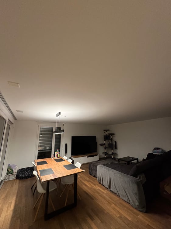 Grand appartement de 1.5 pièces 2
