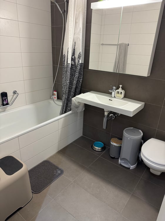 Grand appartement de 1.5 pièces 5