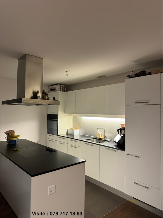 Grand appartement de 1.5 pièces 1