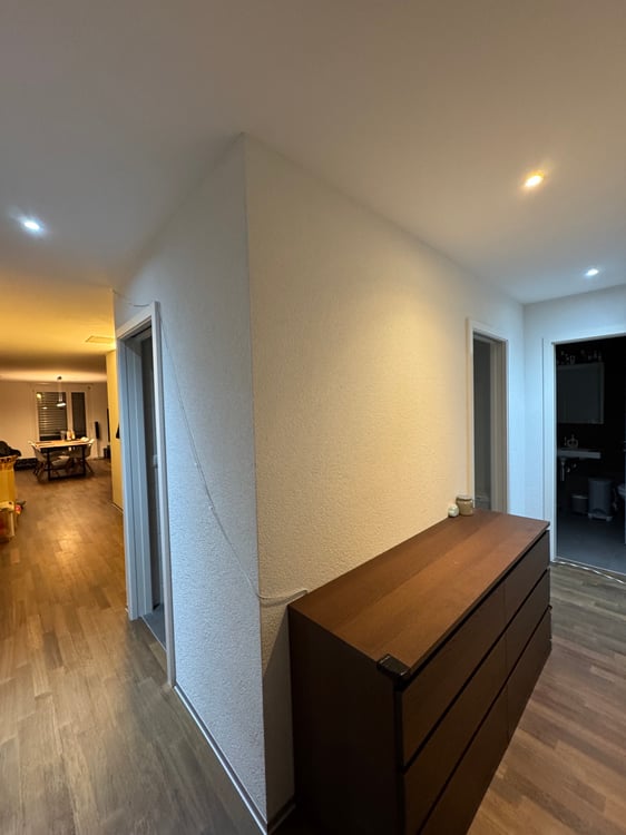 Grand appartement de 1.5 pièces 3