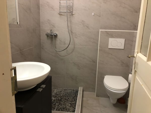 Charmant 1 pièces à la Neuveville 2