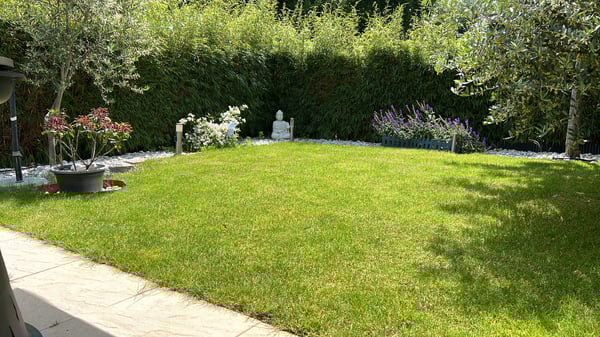 Reprise bail _ Appartement 1.5 pièces en duplex 1