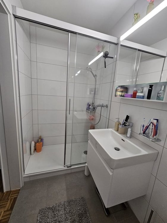 Apartment in Eaux-Vives 3