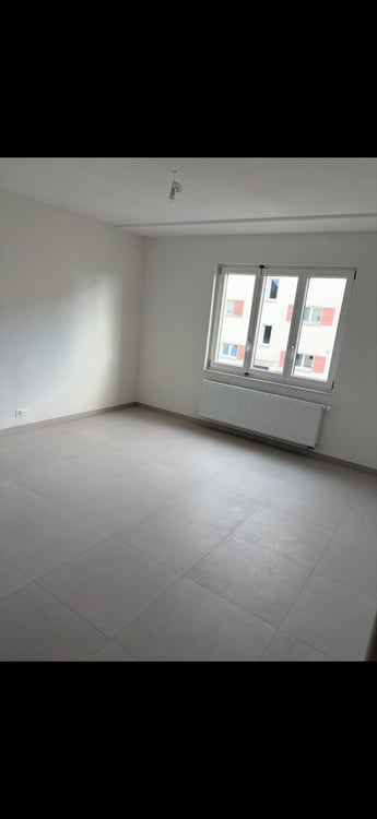 Superbe appartement refait à neuf 3