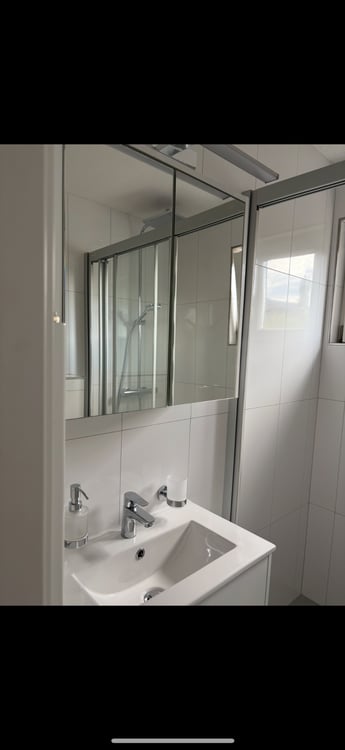 Superbe appartement refait à neuf 4