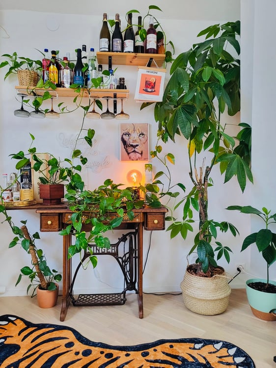 Furnished Penthouse Apartment for Rent  Central Lausanne 5