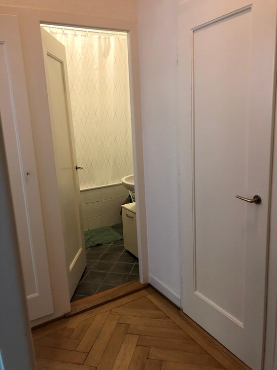 Sunny furnished flat with garden for sub-lease  Jonction 5