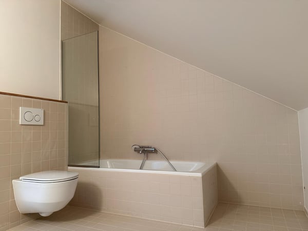 Charmante maison à louer sur collex-bossy 2