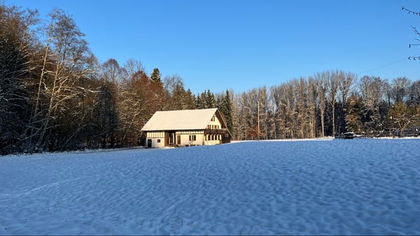 Maison 1.5 pièces à louer 3