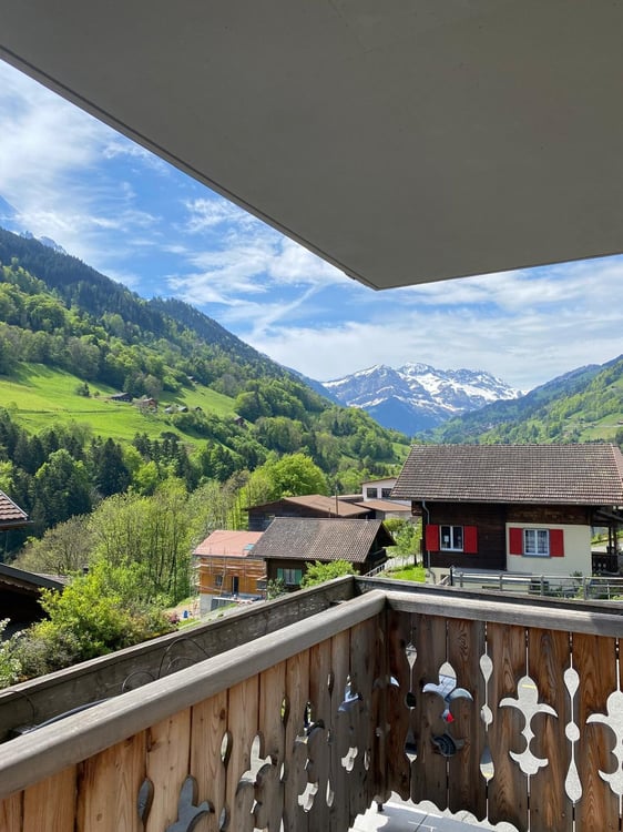 1.5 pces avec terrasse, balcon et vue sur les montagnes 1