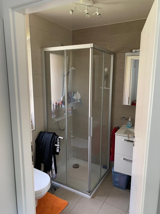 1.5 pces avec terrasse, balcon et vue sur les montagnes 3