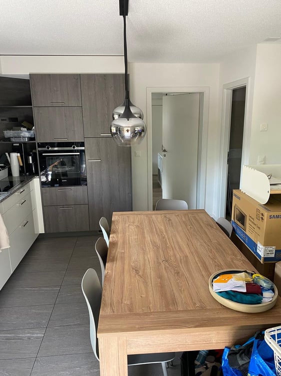 1.5 pces avec terrasse, balcon et vue sur les montagnes 2