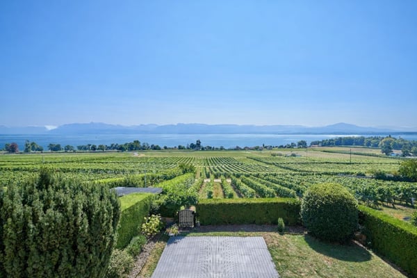 SPACIEUSE DE STANDING AVEC JARDIN ET VUE PANORAMIQUE SUR LAC 1