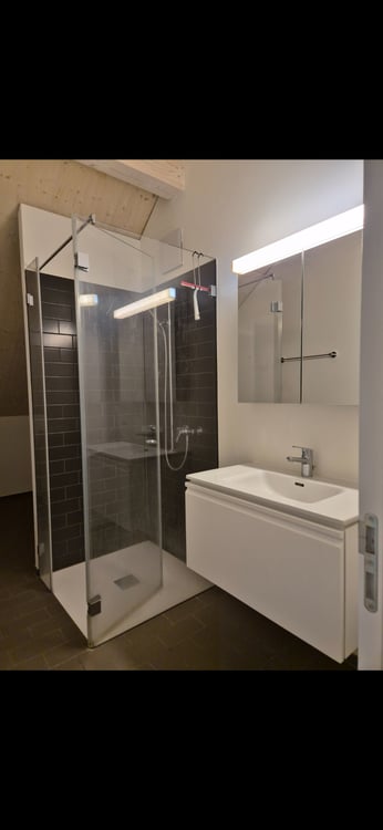 Appartement moderne 1.5 pièces - à 10 min du centre de Zuric 4