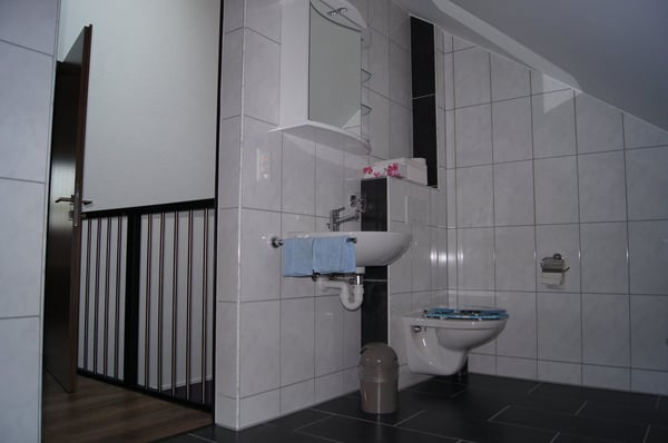 appartement 1.5 pièces en duplex 5