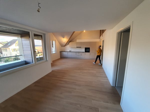 Magnifique appartement en attique de 1.5p avec mezzanine 2