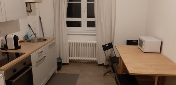 Joli appartement 2 pièce entièrement rénové en 2024. 1