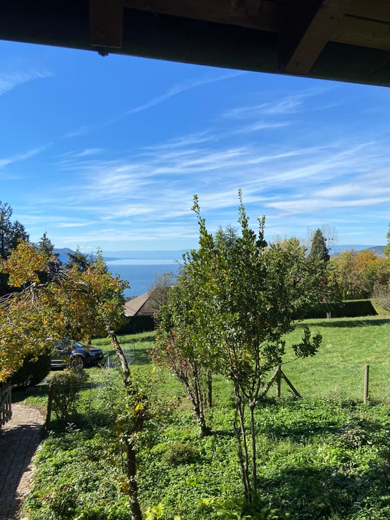 appt rénové-nature -vue lac- ds grande propr. privée jardin 1